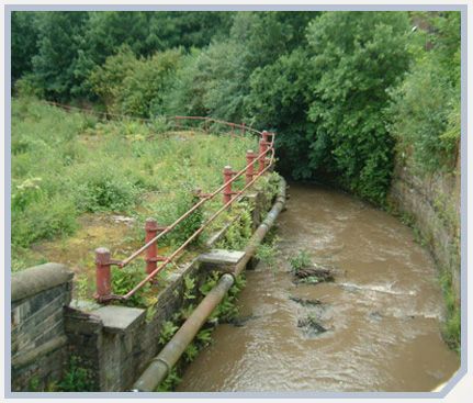 Federal Mogul River Corridor Survey - Ecology