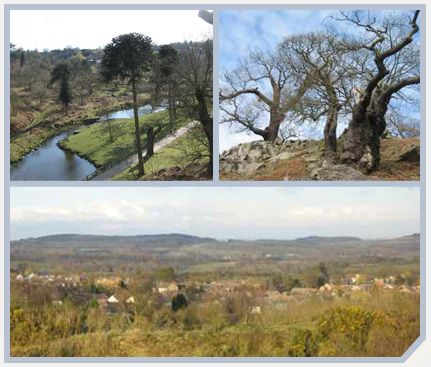 Charnwood Forest, Leicestershire.