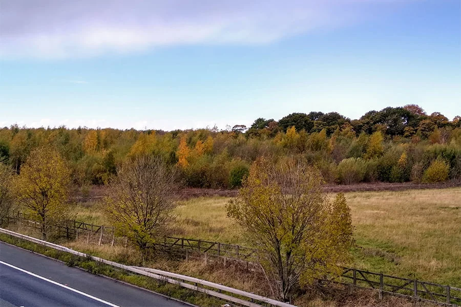 TEP project: Griffin Wood, adjacent to the M62 corridor and part of the expanding Mersey Forest. 2020