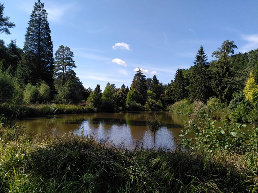 Bedgebury-Pinetum