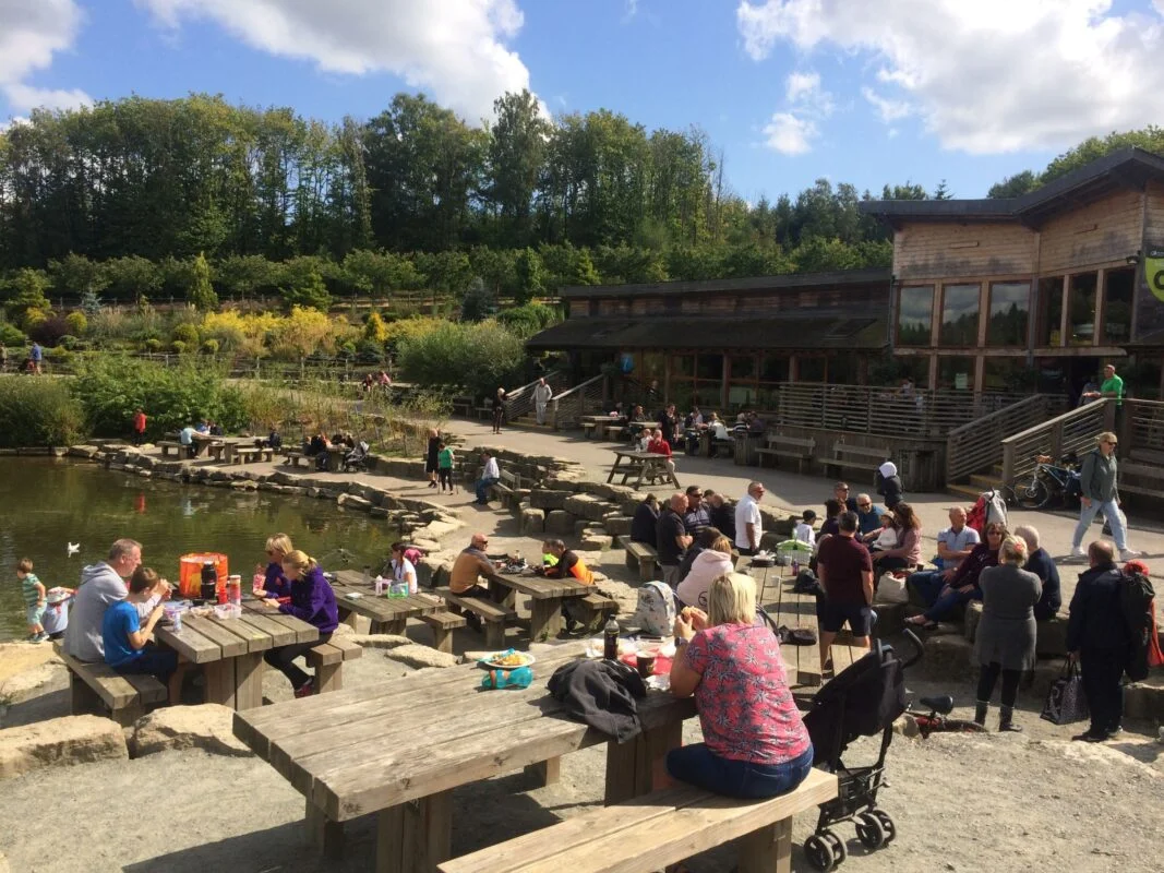 Bedgebury-Pinetum