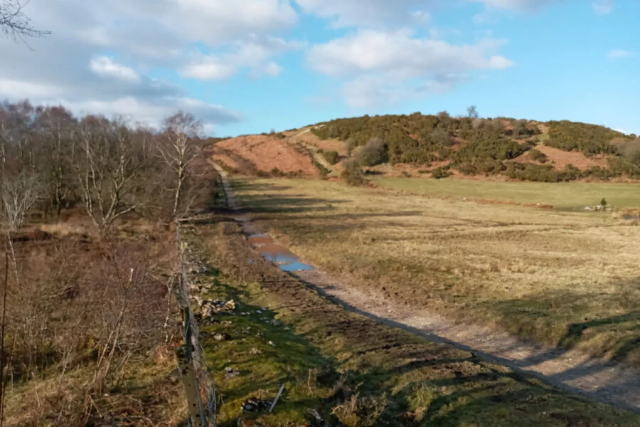 Peat Site Action Plan