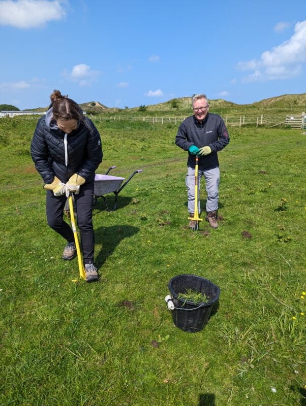 Environmental Planning Volunteering