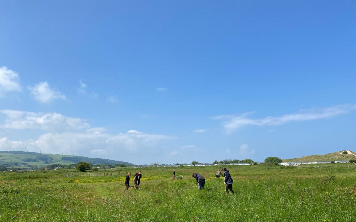 Environmental Planning Volunteering