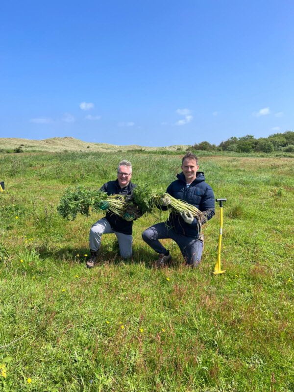 Environmental Planning Volunteering