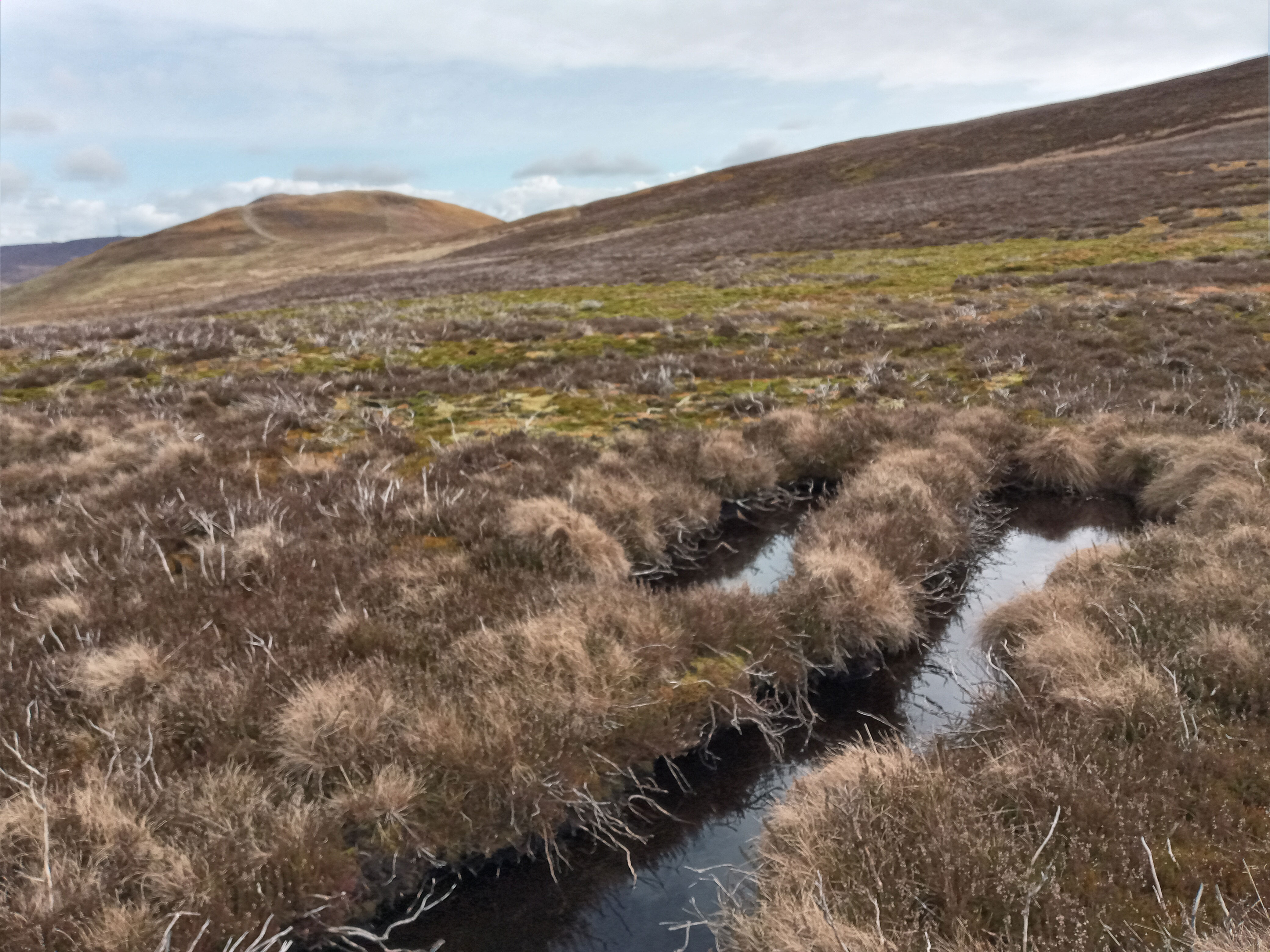 Clwydian Range And Dee Valley Aonb Peat Site Action Plan - Tep - The 